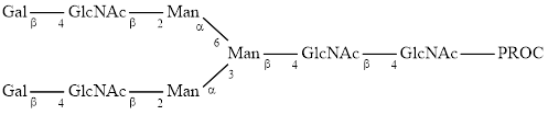 A2G2 glycan (G2), procainamide labelled